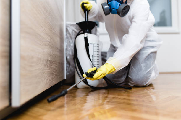 Best Cockroach Control Services  in The Hammocks, FL