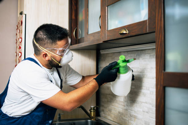 Best Mosquito Control Services  in The Hammocks, FL