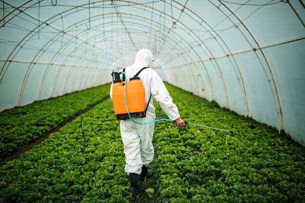 Best Pest Control for Homes  in The Hammocks, FL