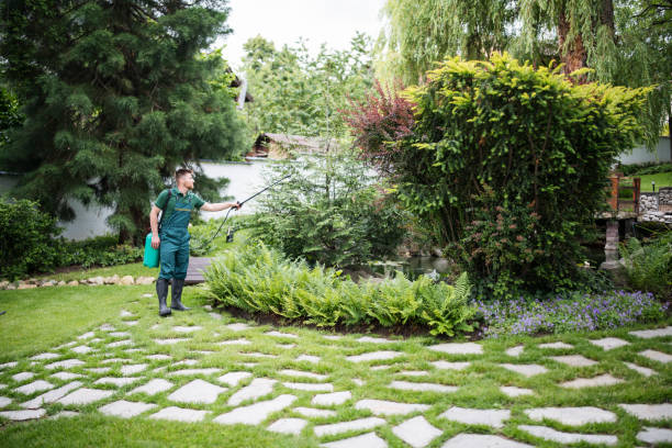 Best Pest Removal Services  in The Hammocks, FL