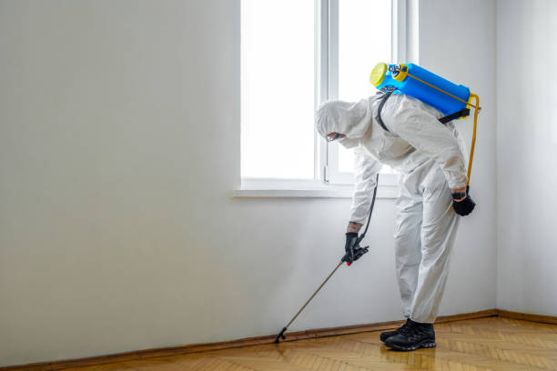 Best Residential Pest Control  in The Hammocks, FL