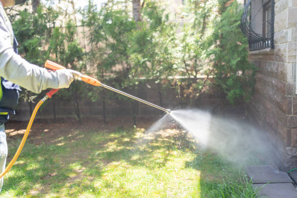 Best Bed Bug Extermination  in The Hammocks, FL