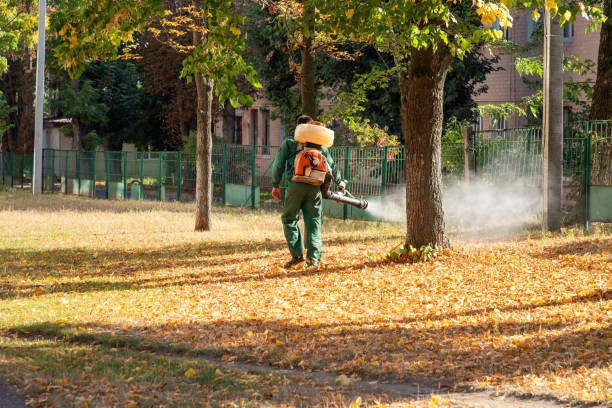 Best Local Pest Control Services  in The Hammocks, FL