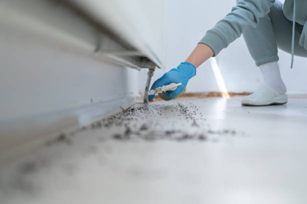 Best Best Pest Control Companies  in The Hammocks, FL